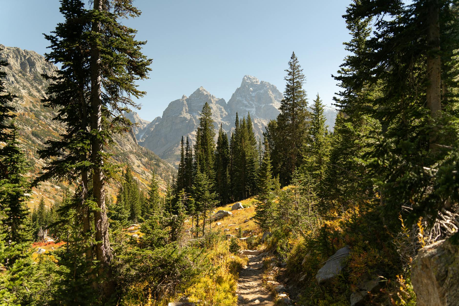 Jesienne górskie krajobrazy Parku Narodowego Grand Teton