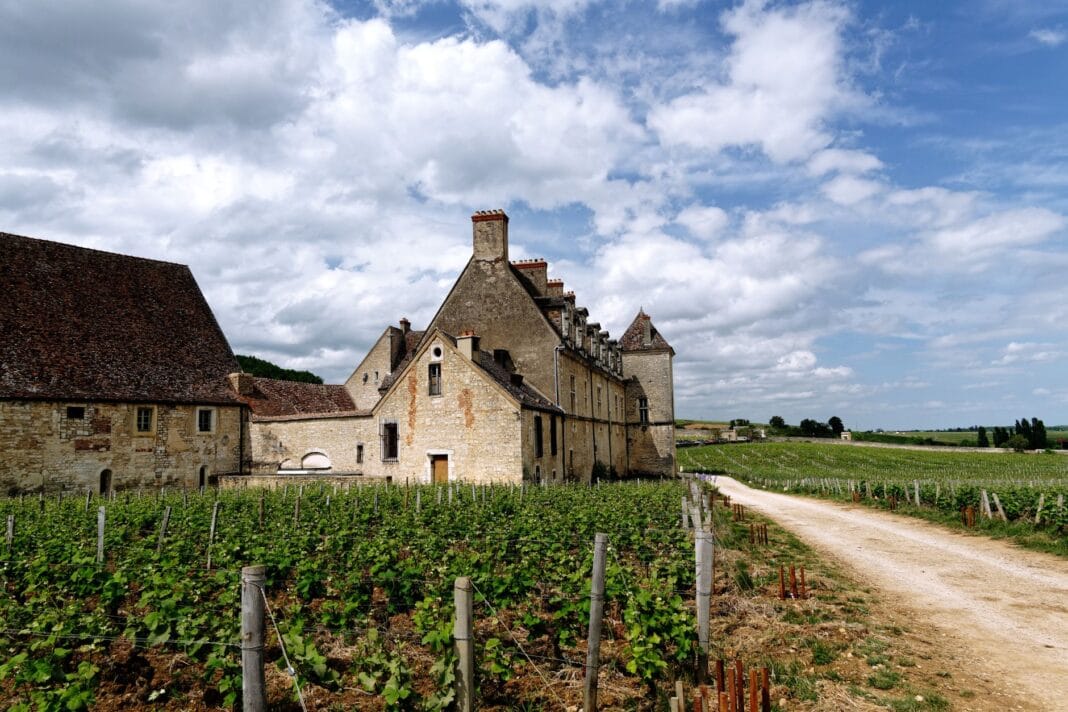 Château de Vougeot wśród zielonych winnic Burgundii pod jasnym niebem